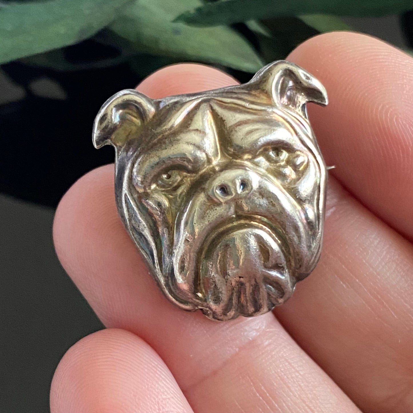 Victorian Sterling Silver Repousse Bull Dog Brooch