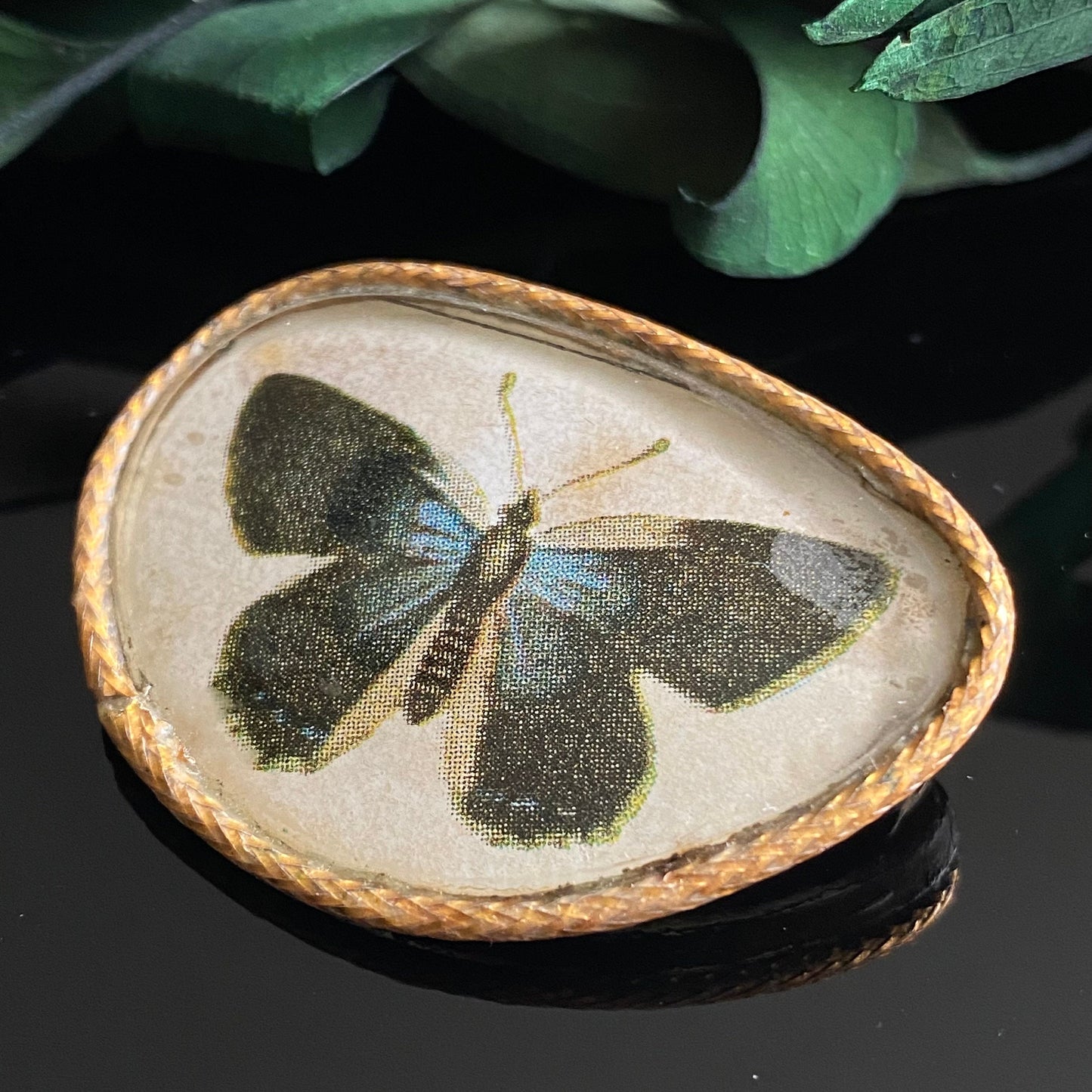 Vintage Art Deco Butterfly Print Brooch