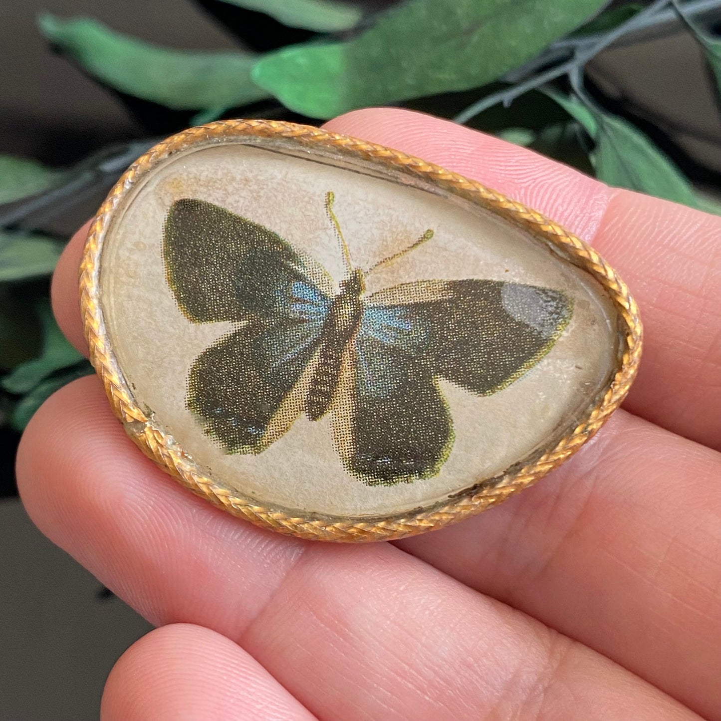 Vintage Art Deco Butterfly Print Brooch