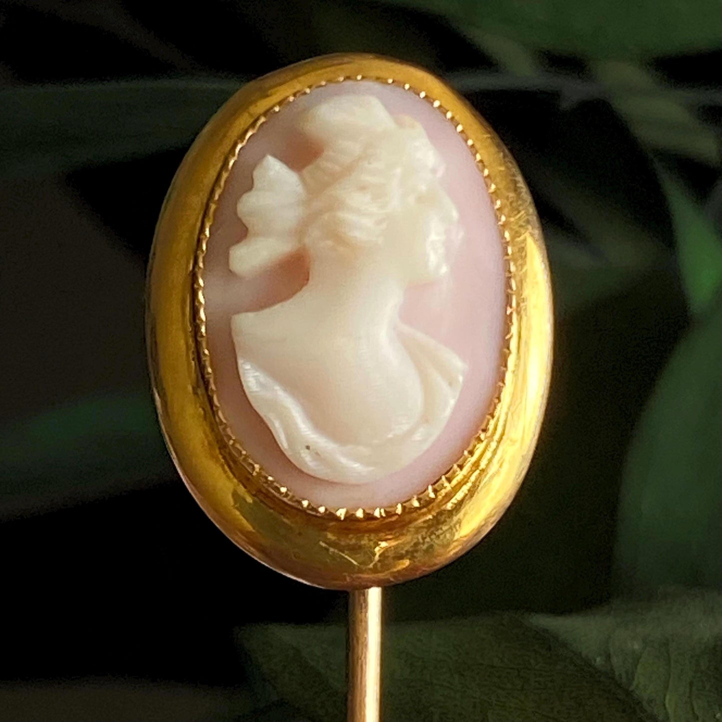 Antique 10k Gold Angel Skin Coral Cameo Stickpin